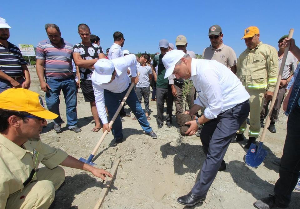 Saruhanlı’da 15 Temmuz Şehitleri İçin Fidan Dikildi