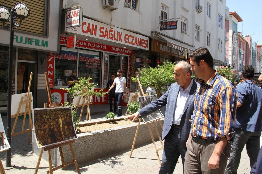 Bismil’de 15 Temmuz Sergisine Yoğun İlgi