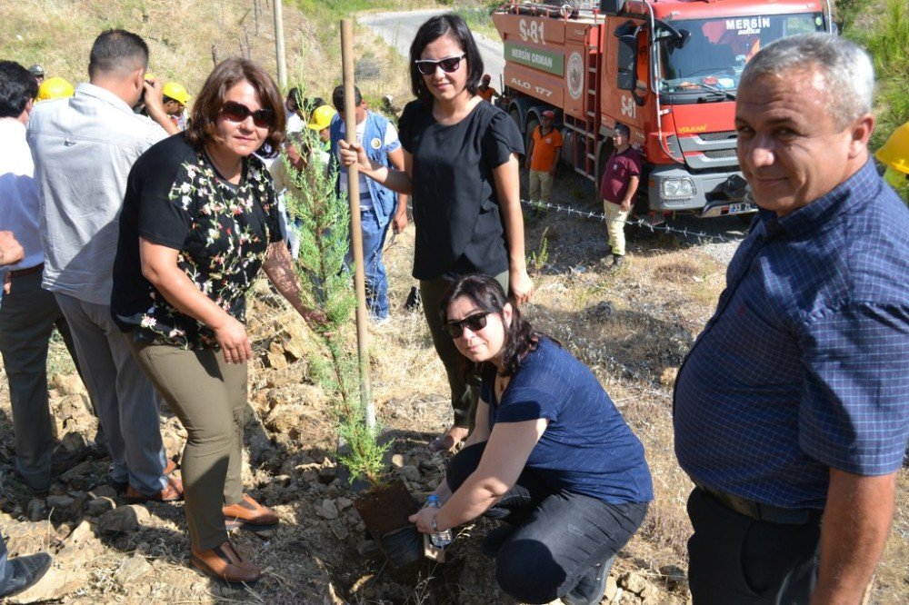 Bozyazı’da 15 Temmuz Şehitleri Anısına Hatıra Ormanı Oluşturuldu