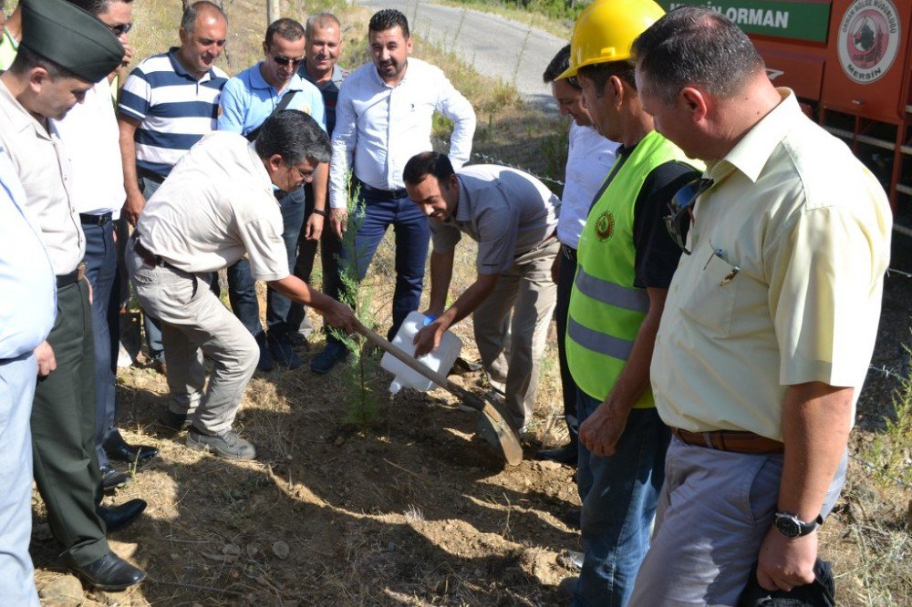 Bozyazı’da 15 Temmuz Şehitleri Anısına Hatıra Ormanı Oluşturuldu