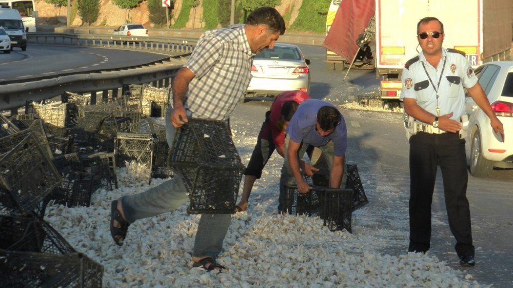 Devrilen Tırdaki Tonlarca Sarımsak Yola Döküldü