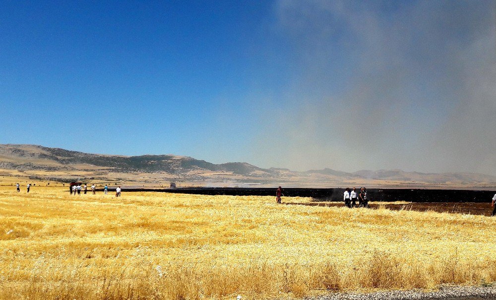 Hastaneye Sıçrama Tehlikesi Olan Anız Yangınına Yangın Tüpleriyle Müdahale Edildi