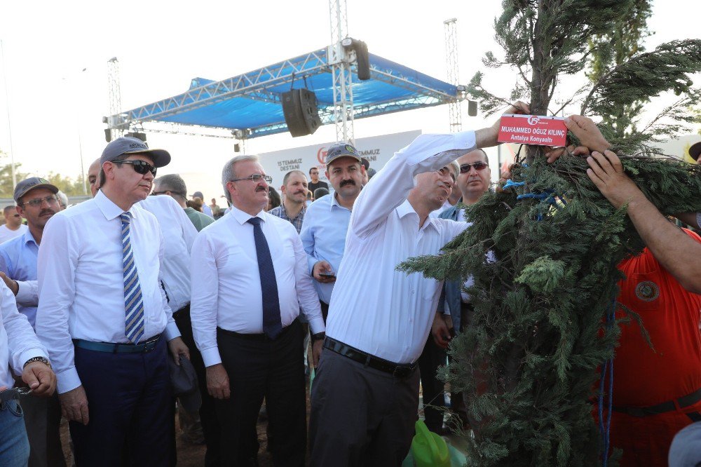 15 Temmuz Şehitlerinin İsmi Hatıra Ormanıyla Yaşatılıyor