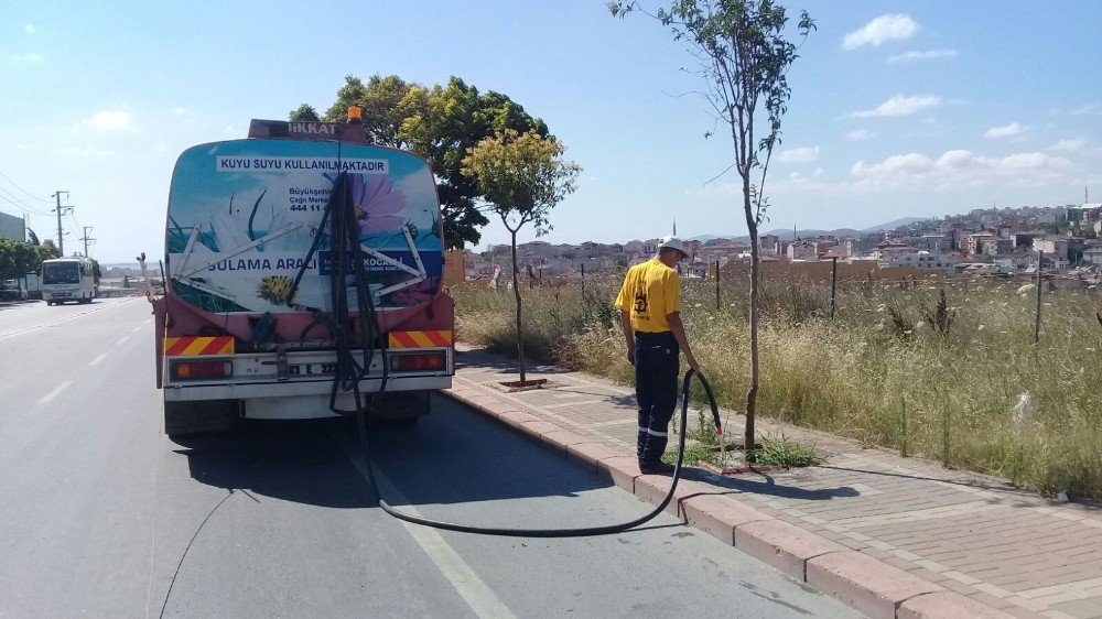 Kocaeli’de Ağaçlara Can Suyu Veriliyor