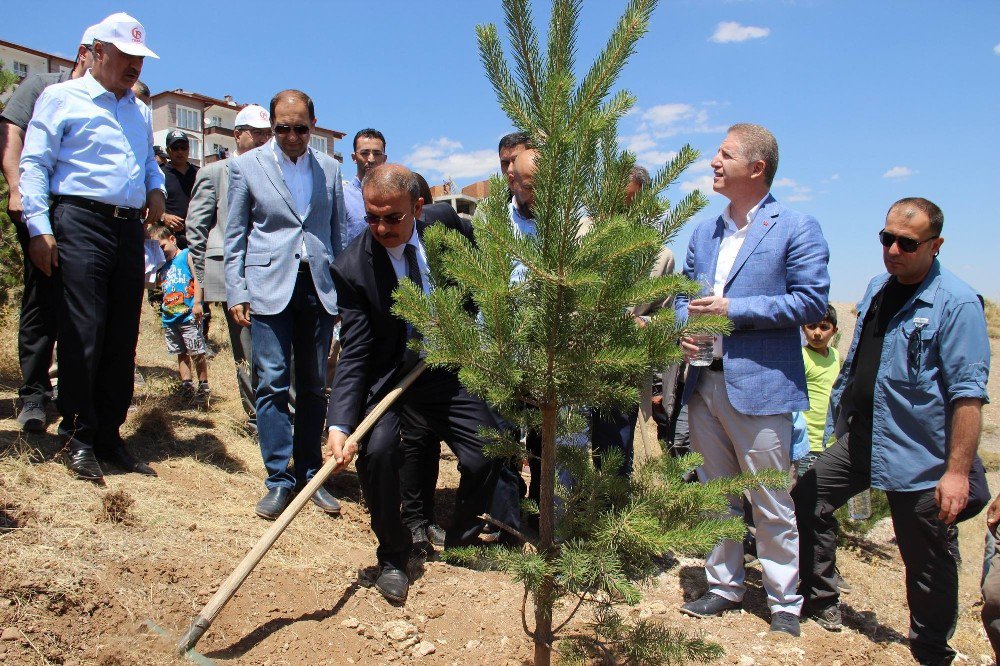 15 Temmuz Şehidinin Adı Hatıra Ormanında Yaşatılacak