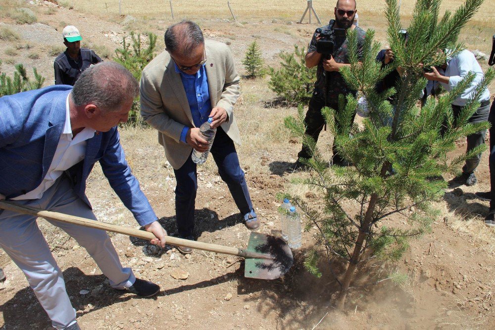 15 Temmuz Şehidinin Adı Hatıra Ormanında Yaşatılacak