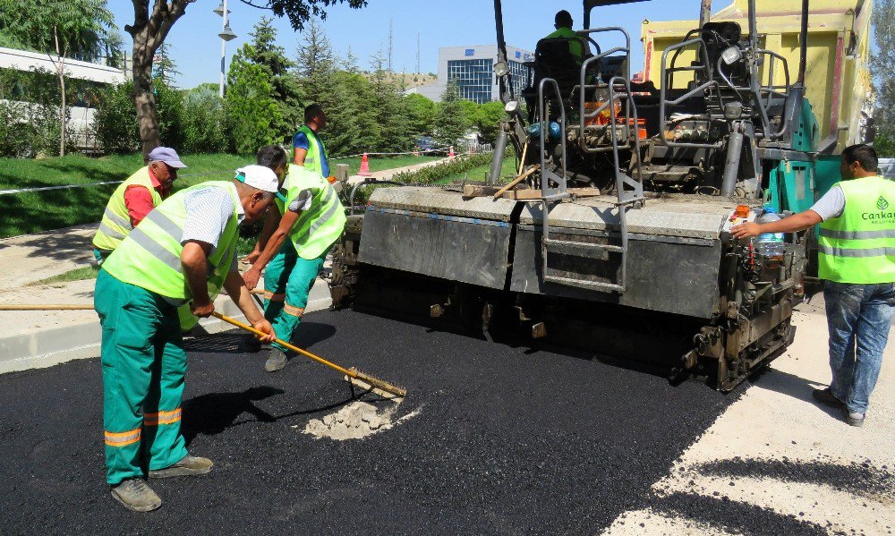 Çankaya Belediyesi Mevsim Koşullarına Meydan Okuyor