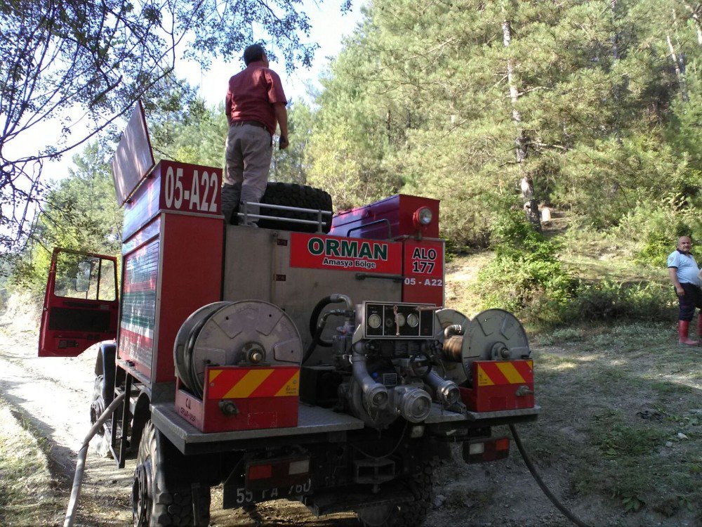 Vezirköprü’de Çıkan Orman Yangını Söndürüldü