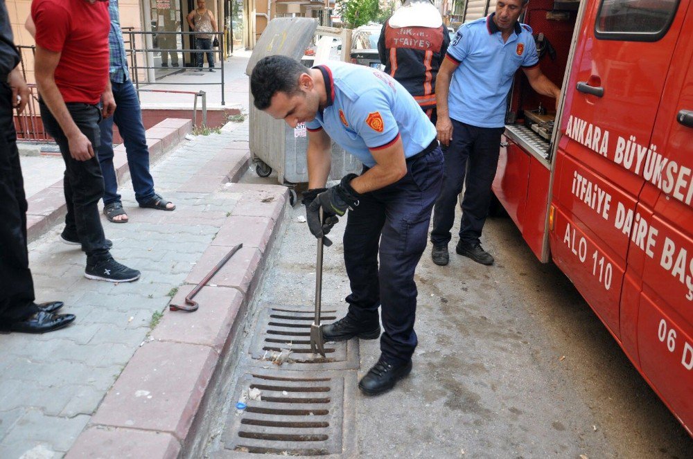 Yavru Kedi İtfaiye Ekiplerince Kurtarıldı