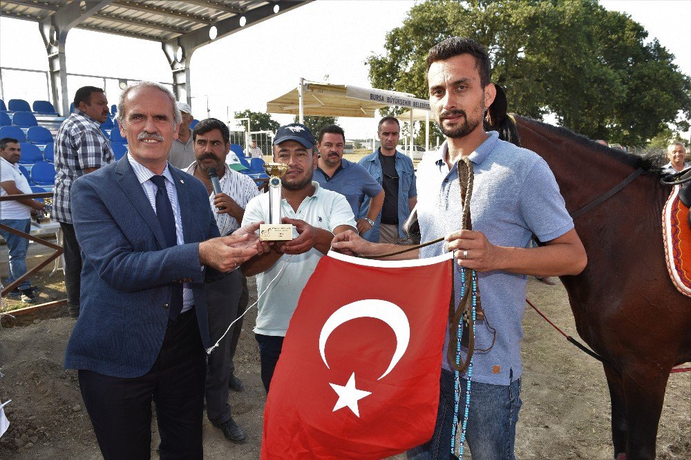 Bursa’da Rahvan Atları 15 Temmuz Anısına Yarıştı