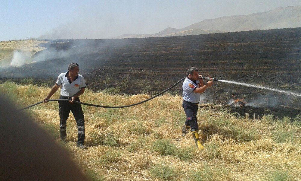 Siirt’te Anız Yangını