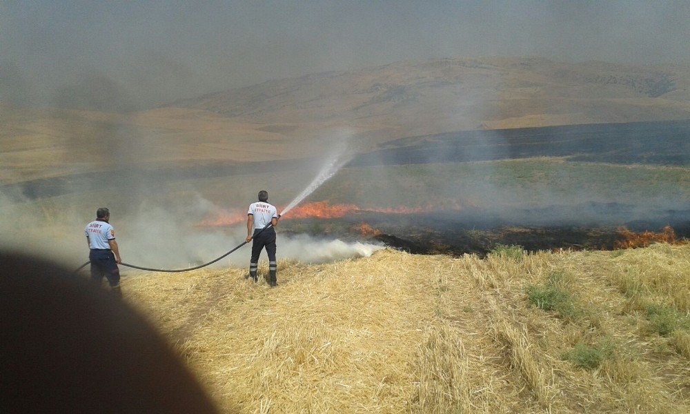 Siirt’te Anız Yangını