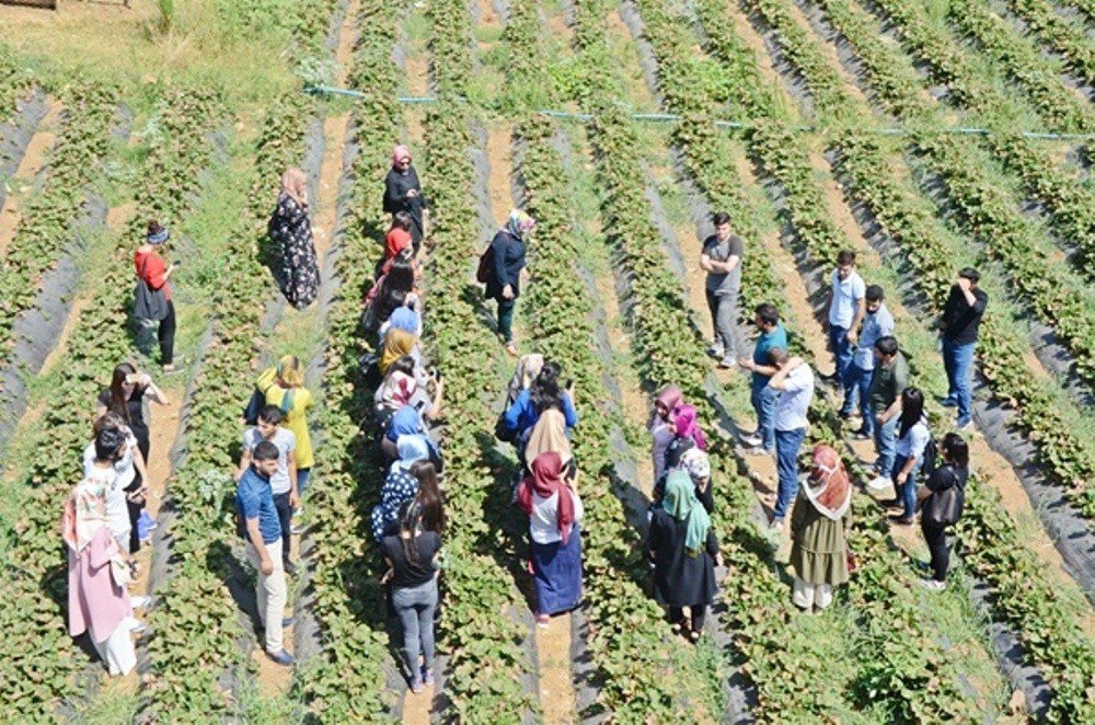 Stajyer Öğrenciler İçin Teknik Gezi Düzenlendi