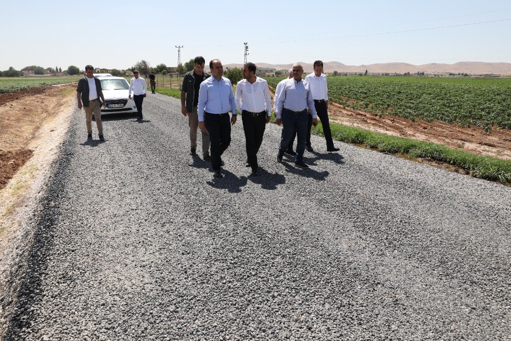 Çiftçi, Akçakale Kırsalındaki Çalışmaları İnceledi