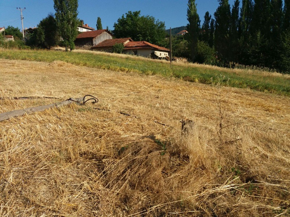 Köy Muhtarının Telefon Kablosu İsyanı