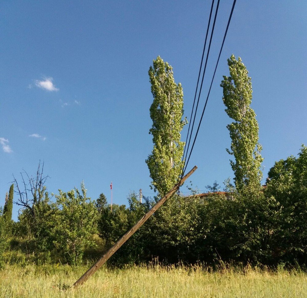 Köy Muhtarının Telefon Kablosu İsyanı