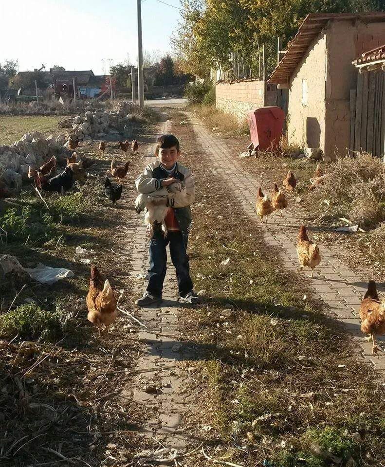 50 Tavukla Başladı 8 Bin Metrekarelik Çiftlik Sahibi Oldu