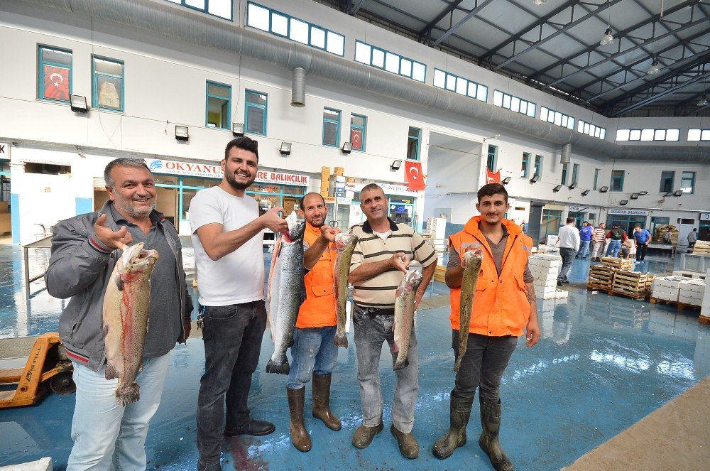 Kaynaklar’daki Balık Hali Ucuz Balığın Adresi Oldu