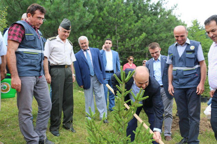 Düzce’de 15 Temmuz Demokrasi Şehitleri Adına Hatıra Ormanı Kuruldu