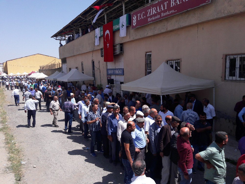 Başkan Seçkin Güven Tazeledi