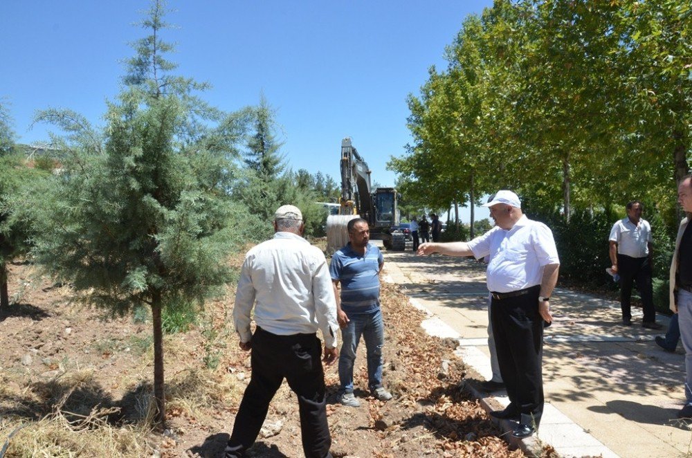 Adıyaman Üniversitesinde Yol Genişletme Çalışması