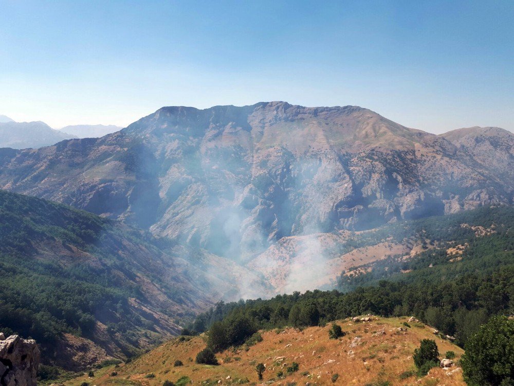 Bitlis’te ‘Yeşil’ Listedeki Terörist Öldürüldü