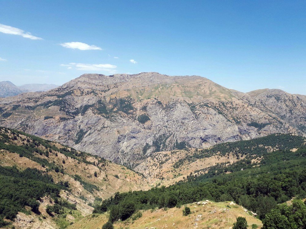 Bitlis’te ‘Yeşil’ Listedeki Terörist Öldürüldü