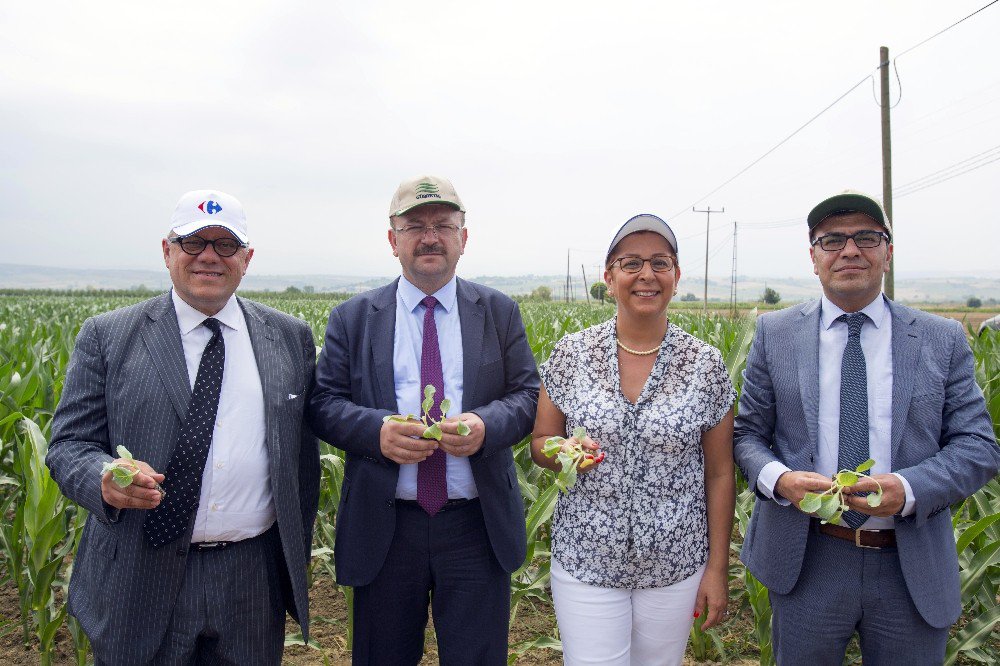 Yerli Tohumla Küçük Üretici Destekleniyor, Ürün Fiyatları İndiriliyor