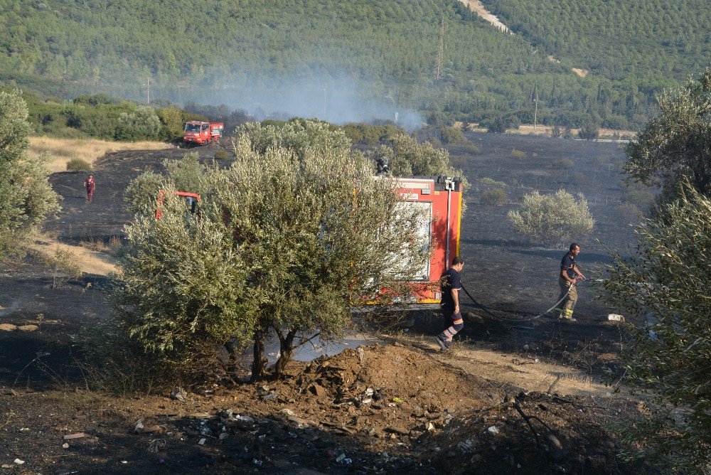 İzmir’de Makilik Alanda Yangın