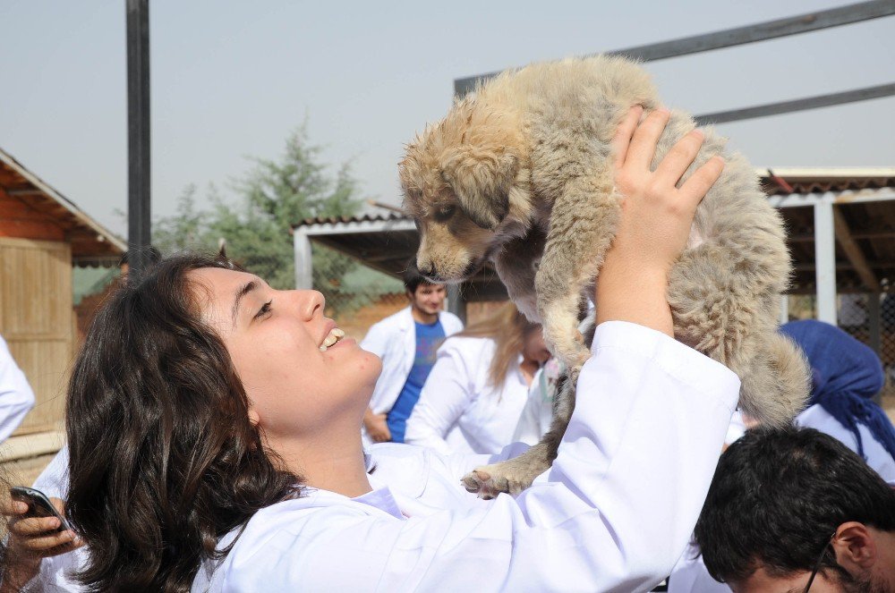 Büyükşehir’den Sertifikalı Pet Shop Eğitimi