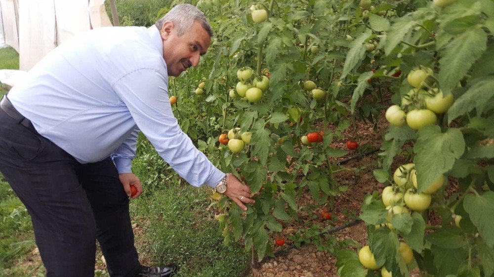 Başkan Baran: “Yerli Üreticiyi Destekliyoruz”