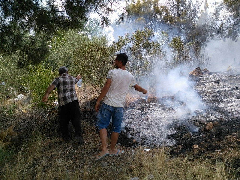 Kozan’da Çıkan Orman Yangını Kısa Sürede Söndürüldü