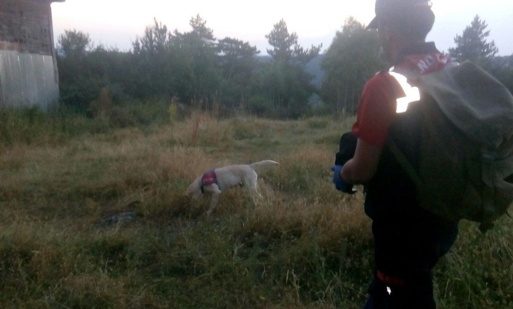 Kastamonu’da 10 Günde İki Alzheimer Hastası Kayboldu