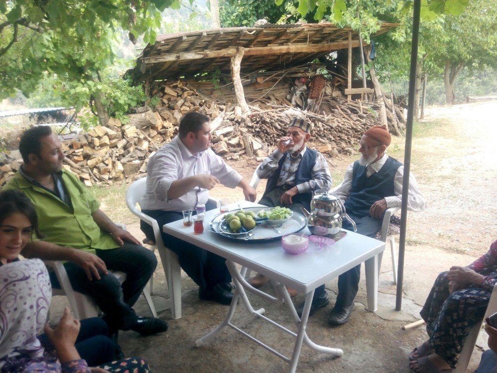 Yaşlı Stajyerler İş Başında