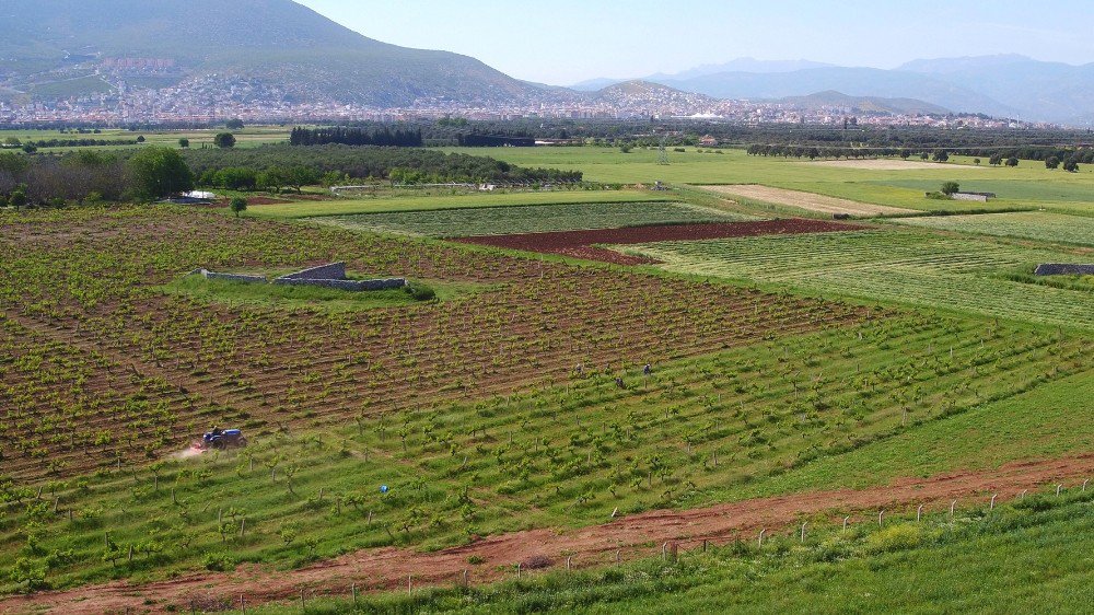 Milas’ta 16 Bin 410 Dekar Tarım Arazisi Suya Kavuşacak