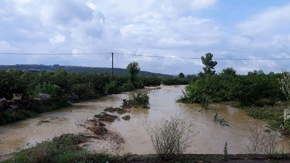 Sakarya’da Tarım Arazileri Sular Altında Kaldı