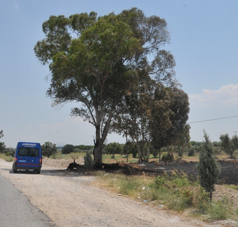 Jandarma Yol Kenarındaki Rezalete El Koydu