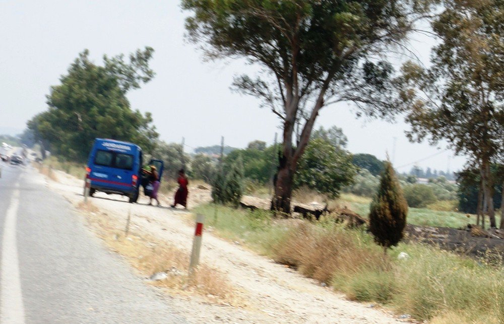 Jandarma Yol Kenarındaki Rezalete El Koydu