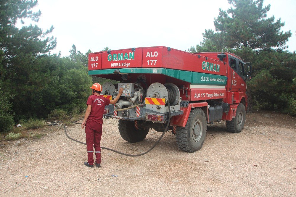 Bilecik’te Orman Yangını