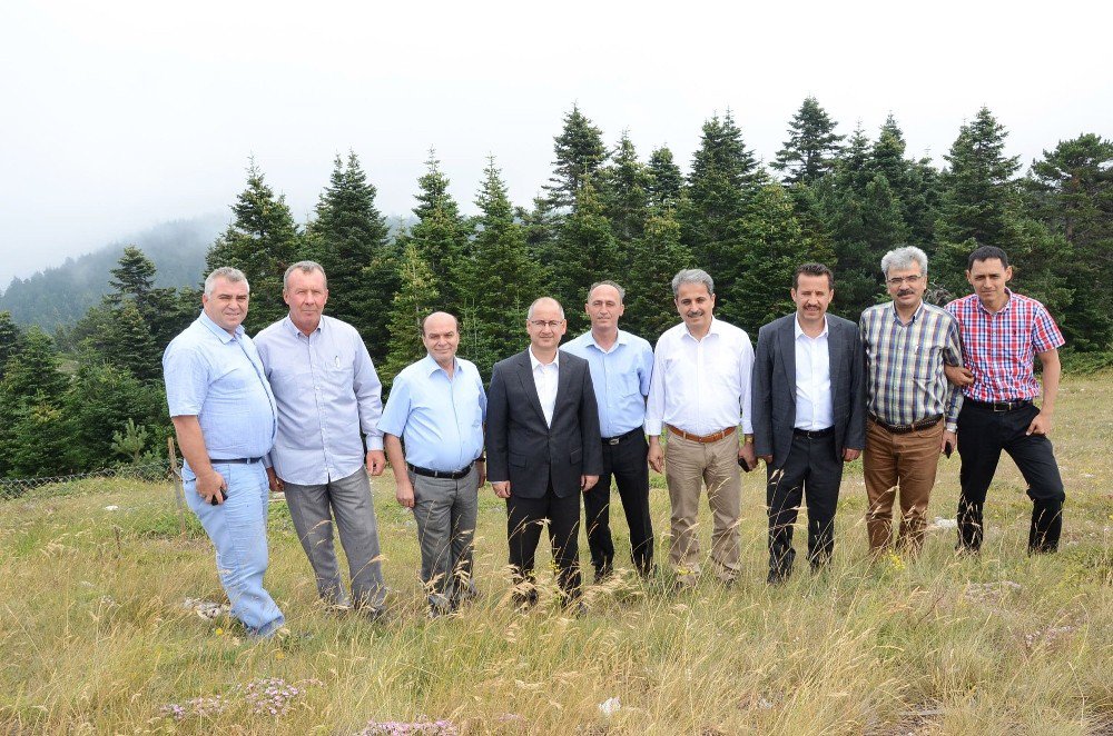 Bozüyük Yaylalarında “Agro Turizm” İçin Çalışmalar Başladı