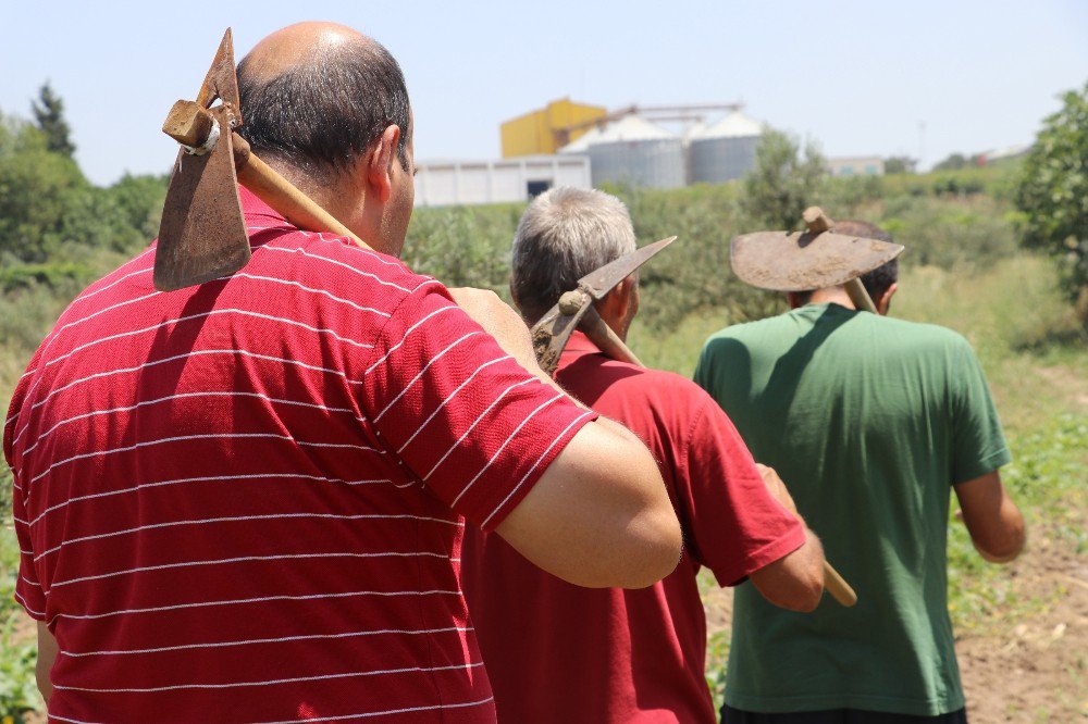 Hobi Bahçeleri Ve Kurslarla Ruhsal Sorunlarını Aşıyorlar