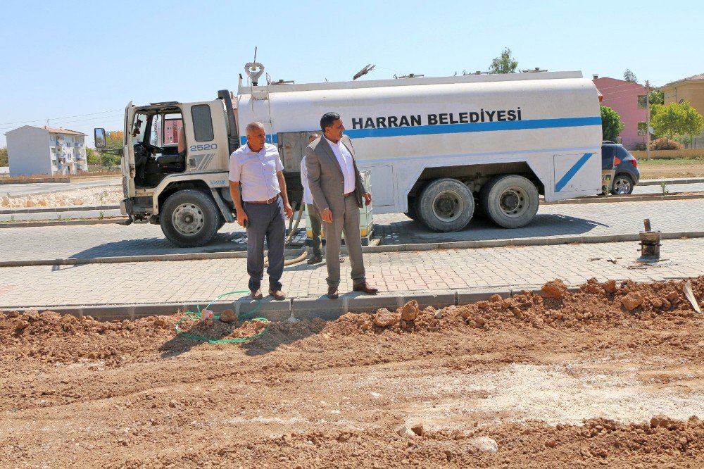 Harran Belediyesi Bu Kez Çocukları Sevindirdi