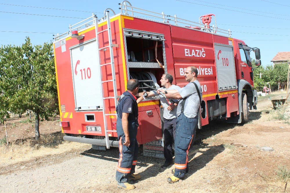 Elazığ’da Ot Yangını, Ağaçlara Zarar Verdi