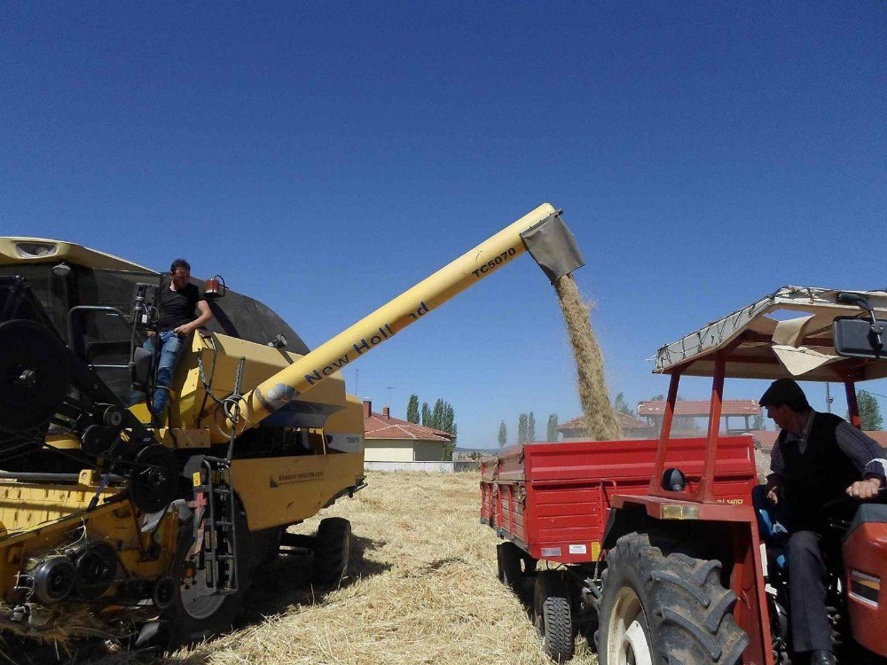 Aslanapa Ovası’nda Hasat Dönemi Dualarla Başladı