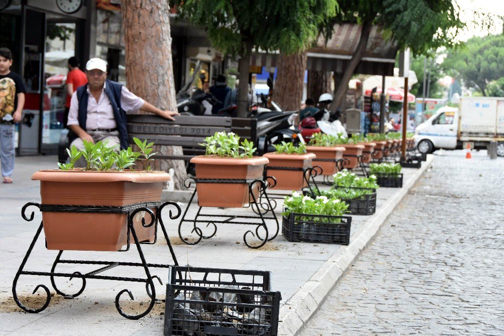 Salihli’de Sevgi Yolu Çiçeklerle Donatıldı