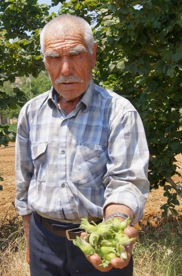 Karadeniz’de Değil, Aydın’da Üretiliyor