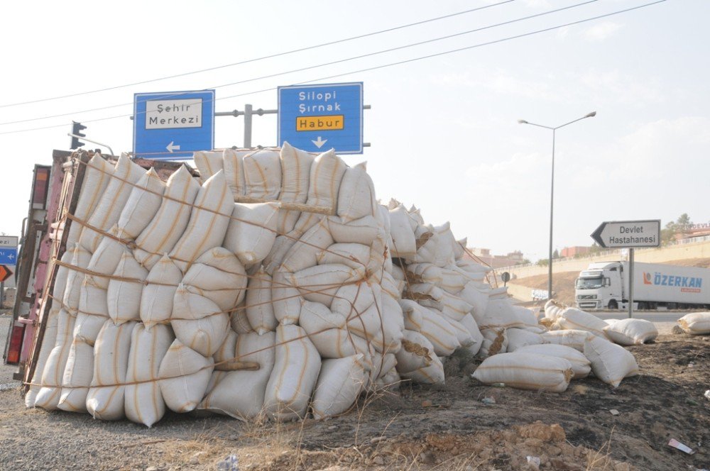 Cizre’de Virajı Alamayan Saman Yüklü Kamyon Kaza Yaptı