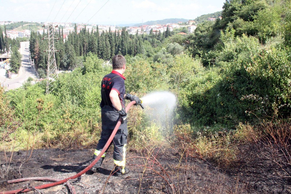 Ormanlık Alandaki Yangın Büyümeden Söndürüldü