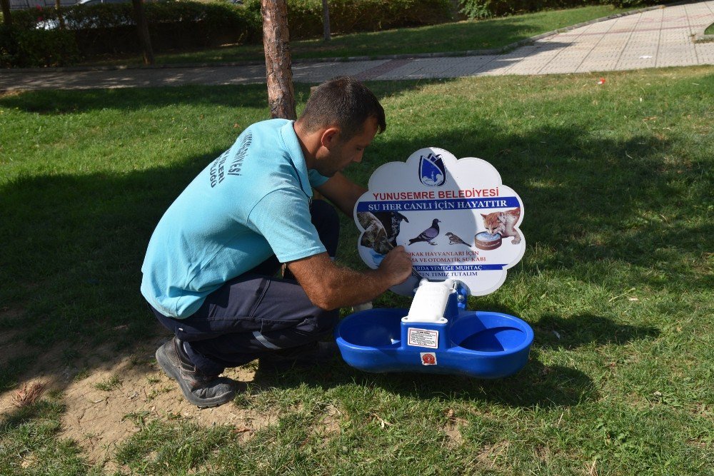 Manisa’da Yaz Aylarında Sokak Hayvanları Unutulmadı