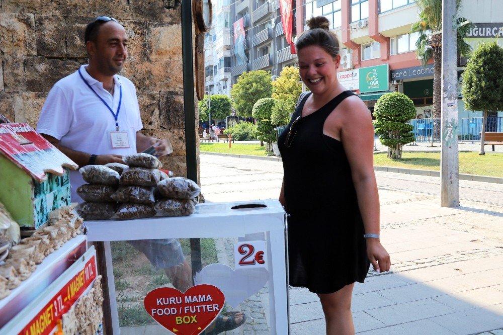 Turizm Elçisi Kedilerin Koruması Fenomen Köpek ’Aras’